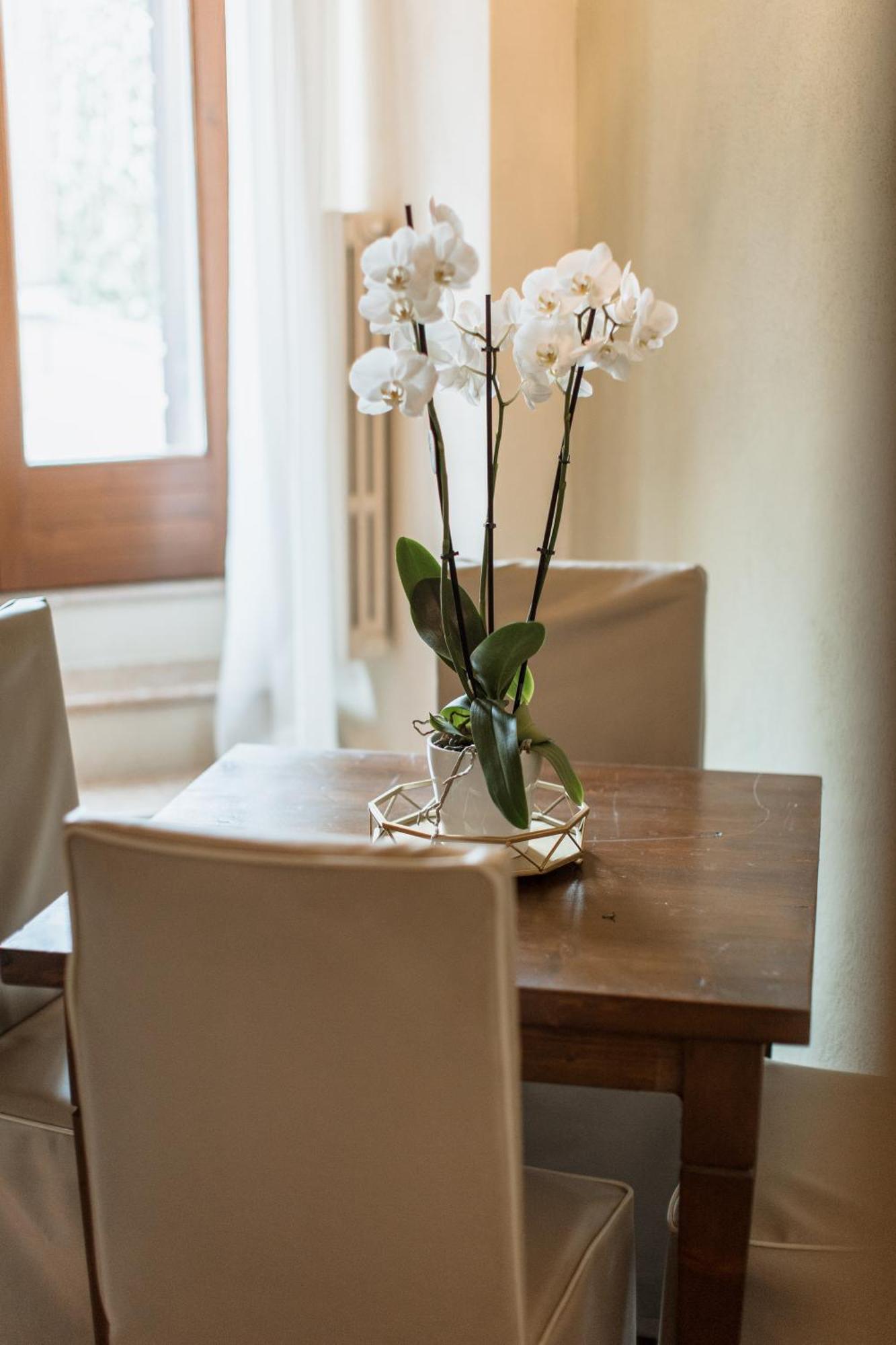 Osteria Luxury Apartments Peschiera del Garda Bagian luar foto